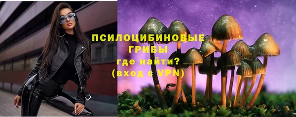 герыч Бронницы