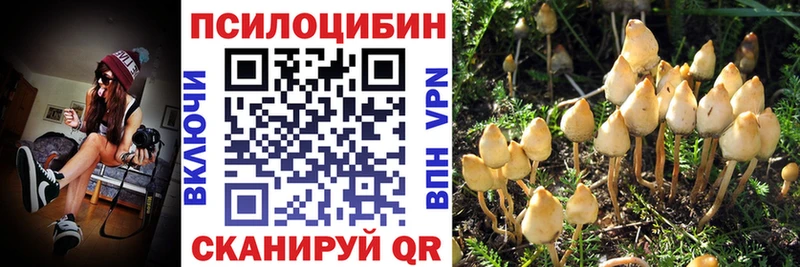 Купить где  Малмыж  Галлюциногенные грибы мухоморы 